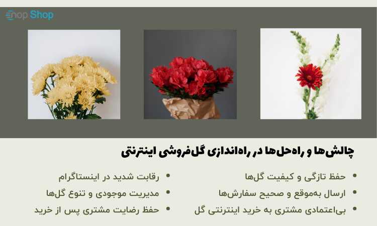 چالش‌ها و راه‌حل‌ها در راه‌اندازی گل‌فروشی اینترنتی
