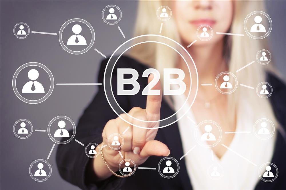 شرکت b2b